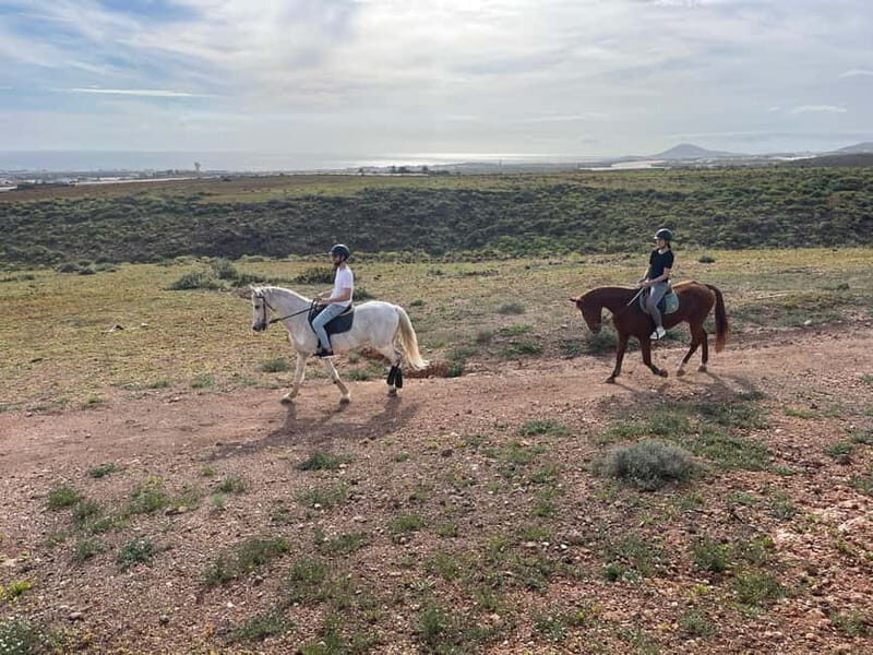 1 hour relaxing horse riding tour in Gran Canaria - Key highlights at a glance