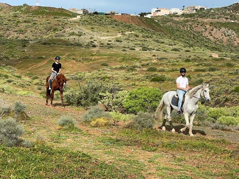 1 hour relaxing horse riding tour in Gran Canaria - What to wear and bring: long pants, comfy shoes, no shorts