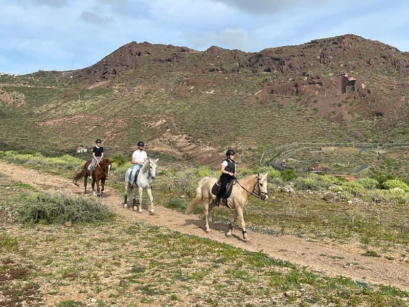 1 hour relaxing horse riding tour in Gran Canaria - Arriving at the barn: meeting point and first impressions