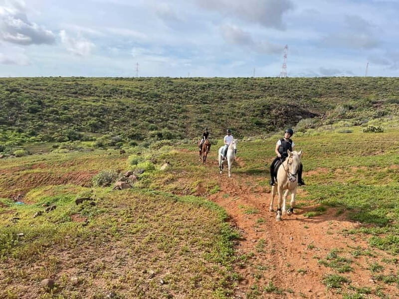 1 hour relaxing horse riding tour in Gran Canaria - The lesson phase: practice in the arena, then real countryside