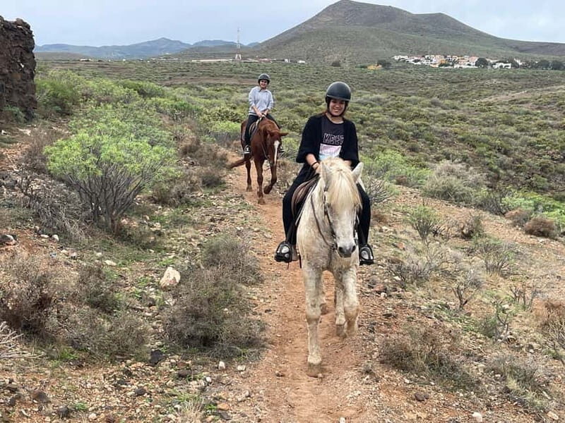 1 hour relaxing horse riding tour in Gran Canaria - Your hour-plus ride: calm horses and sea-and-mountain views