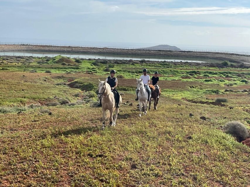 1 hour relaxing horse riding tour in Gran Canaria - What happens when you get back: saddles off and horses to stables