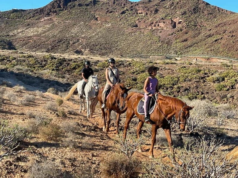 1 hour relaxing horse riding tour in Gran Canaria - Small group size: why capped groups help beginners
