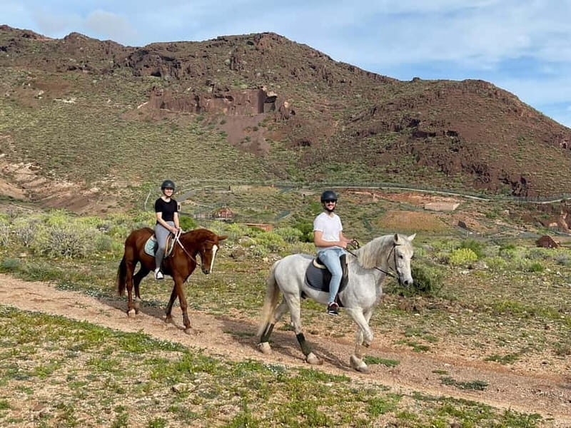 1 hour relaxing horse riding tour in Gran Canaria - Languages in Gran Canaria: English, Spanish, Italian, French