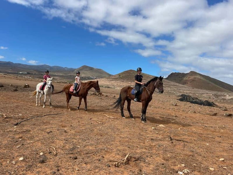 1 hour relaxing horse riding tour in Gran Canaria - Price and value: is $40 a fair deal?