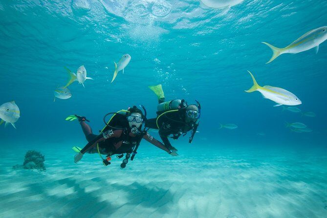 2 Day PADI Scuba Diver Course in Puerto Rico, Gran Canaria - Two Days of PADI Training, Built for First-Timers