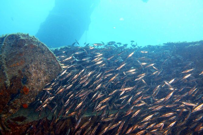 2 Dive Package for PADI Qualified Divers in Gran Canaria - Gran Canaria value: two structured sessions in one easy morning