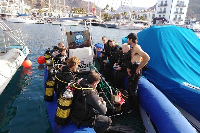 2 Dive Package for PADI Qualified Divers in Gran Canaria - What you’re likely to see: marine life and wreck structure