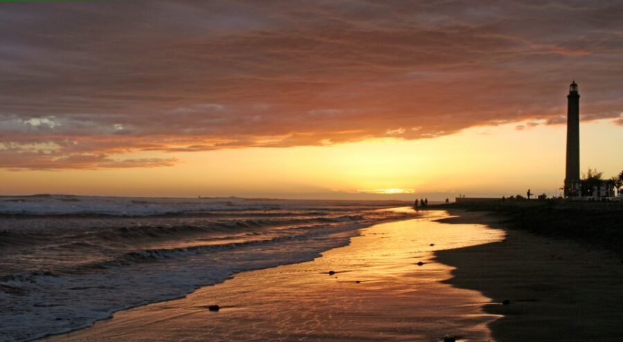 2-H Sunset or Morning Segway experience near by Sand Dunes - Key highlights you’ll feel on this tour
