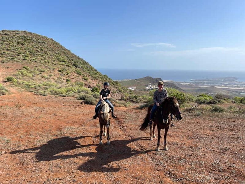 2 hours Green Mountains Horse Riding Tour - Key points before you go