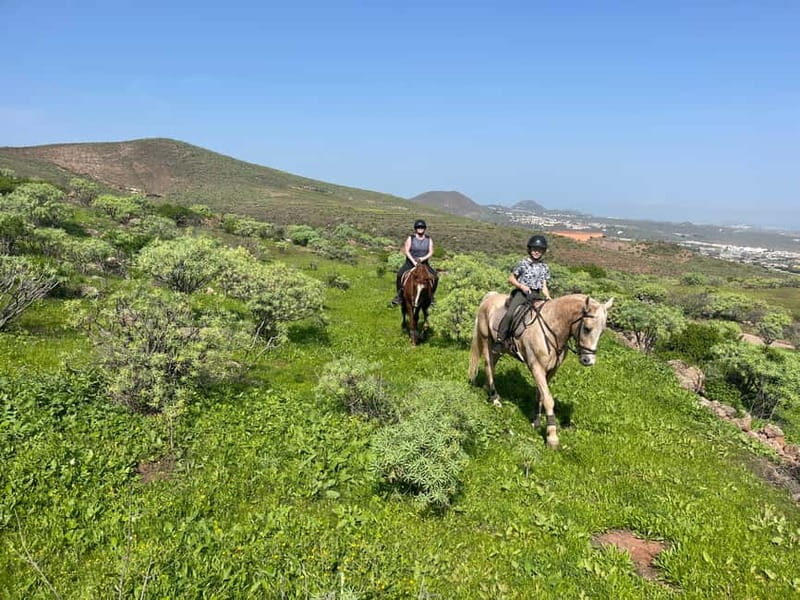 2 hours Green Mountains Horse Riding Tour - Starting at Horse Riding Canaria: helmets, boots, and calm prep