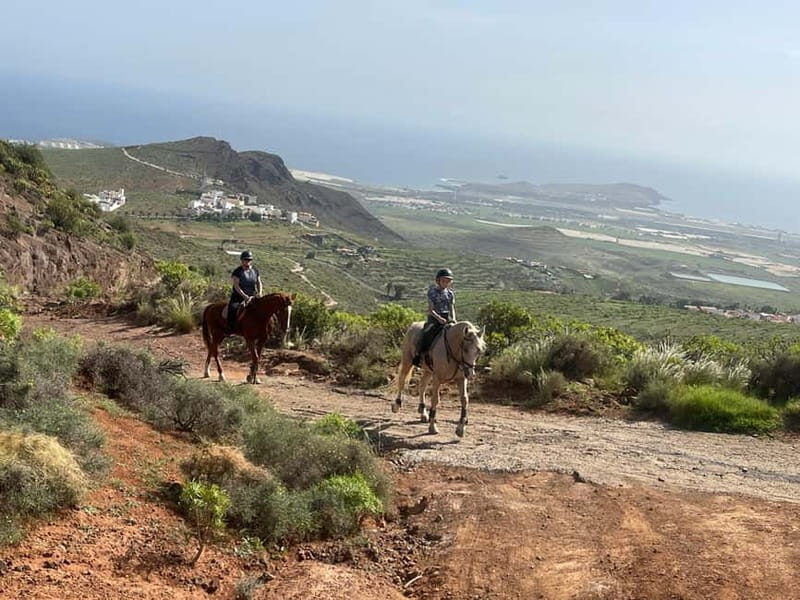 2 hours Green Mountains Horse Riding Tour - Two route choices after the first viewpoint