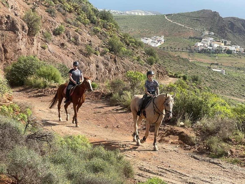 2 hours Green Mountains Horse Riding Tour - Beginner pace vs. advanced gaits: trot and canter options