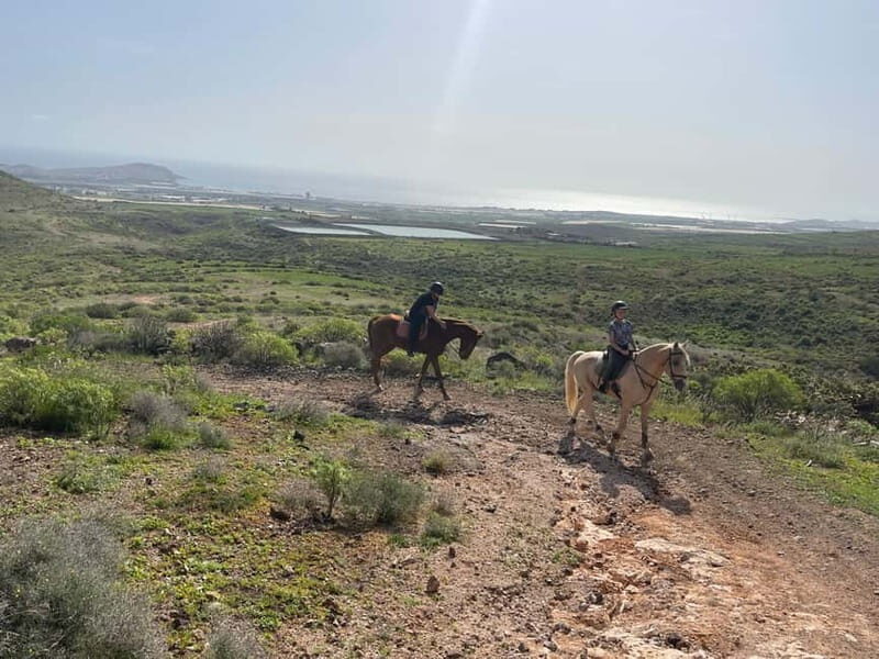 2 hours Green Mountains Horse Riding Tour - What a small group (max 8) changes for your comfort