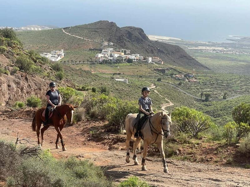 2 hours Green Mountains Horse Riding Tour - How much is $96 worth for 2 hours of riding?