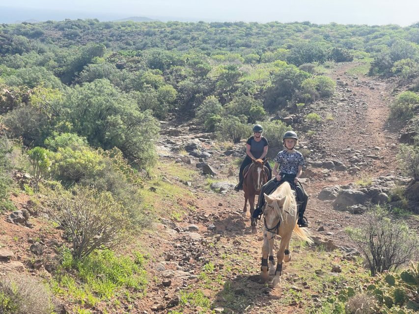 2 hours Green Mountains Horse Riding Tour - Who should book this ride in Ojos de Garza
