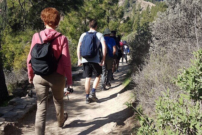 3-Hour Hiking Experience in Roque Nublo - Pickup, Timing, and Getting to the Trail Without Stress