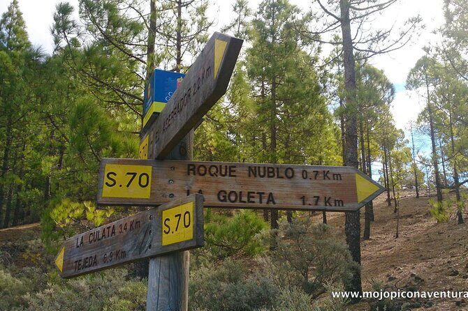 3-Hour Hiking Experience in Roque Nublo - What’s Included (and What That Means for Your Wallet)