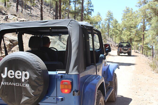 Adventure Driving Jeep Tour in Gran Canaria - Key highlights worth timing