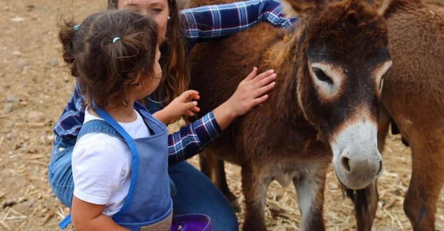 Agüimes : Be a farmer for the day at La Jaira de Ana - La Jaira de Ana in Agüimes: what this farm day is really like