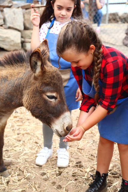 Agüimes : Be a farmer for the day at La Jaira de Ana - Who this fits best (and who might want something else)
