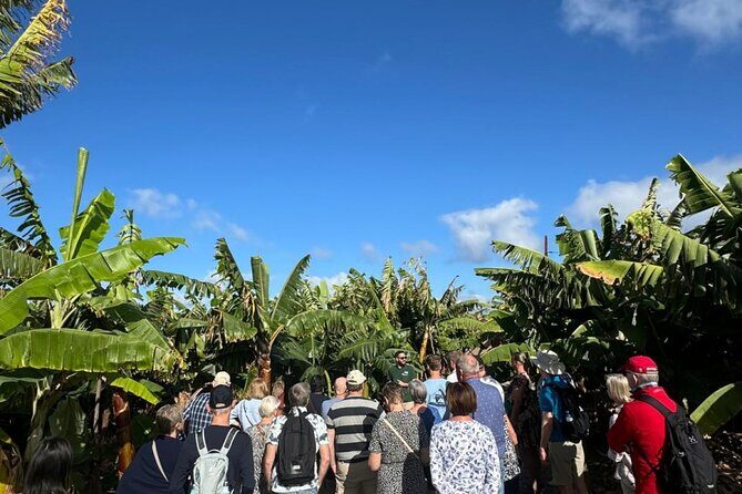 Banana Museum, Rum Distillery & Winery with Tasting: Premium tour - Transfers, pickups, and where you start matters