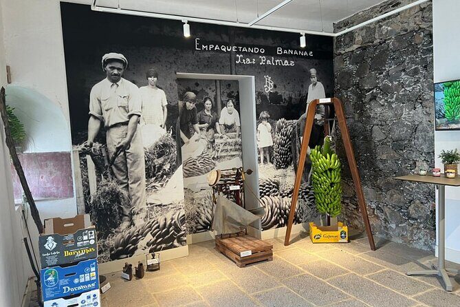 Banana Museum, Rum Distillery & Winery with Tasting: Premium tour - Price and value: is $83.27 a fair deal?