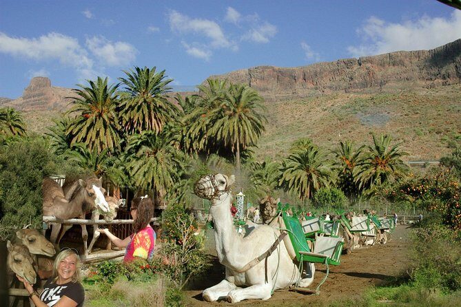 Camel Ride in Fataga with Tapas and drinks - Camel Safari Park La Baranda: the Fataga setting that sells the experience
