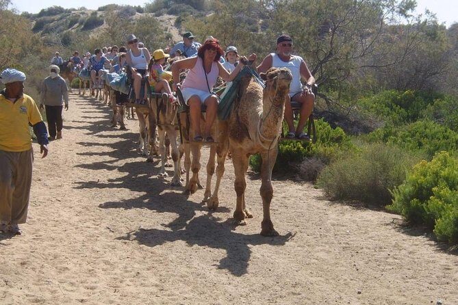 Camel Riding in Maspalomas Dunes - Timing and Waiting: How the Every-20-Minutes Schedule Affects Your Day