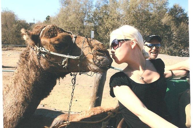 Camel Safari through the Dunes of Maspalomas - Key highlights worth knowing before you go