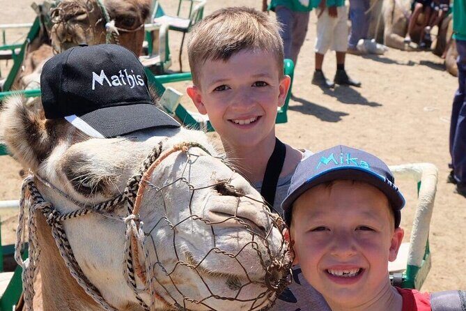 Camel Safari through the Dunes of Maspalomas - Should you book Camel Safari through the Dunes of Maspalomas?
