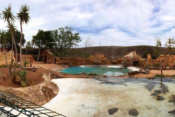 Cocodrilo Park Zoo Admission Ticket in Agüimes - Monkey snack-bar breaks: plan your food so you don’t lose the afternoon