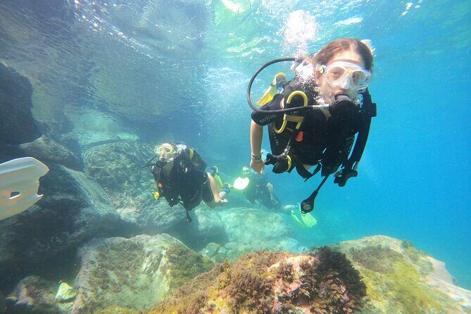 Discover Scuba Dive in Gran Canaria - Your time underwater off Gran Canaria: what marine life you’re really hunting