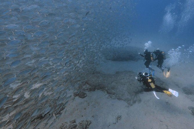 Discover Scuba Diving in Puerto de Mogan - Price and value: what $103 buys you (and why it’s more than gear)