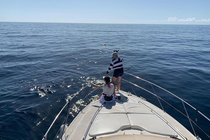 Dolphin Searching Tour in Puerto de Mogán ("KEEPER UNO" Boat) - Keeper Uno Yacht: Why this dolphin search feels more personal