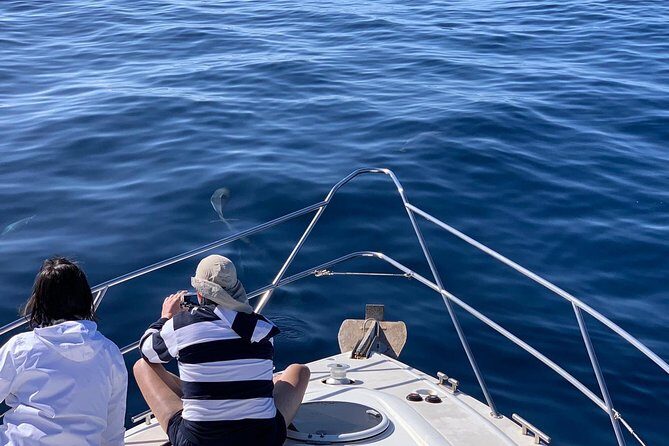 Dolphin Searching Tour in Puerto de Mogán ("KEEPER UNO" Boat) - Lunch and soft drinks included: how the food matches the day