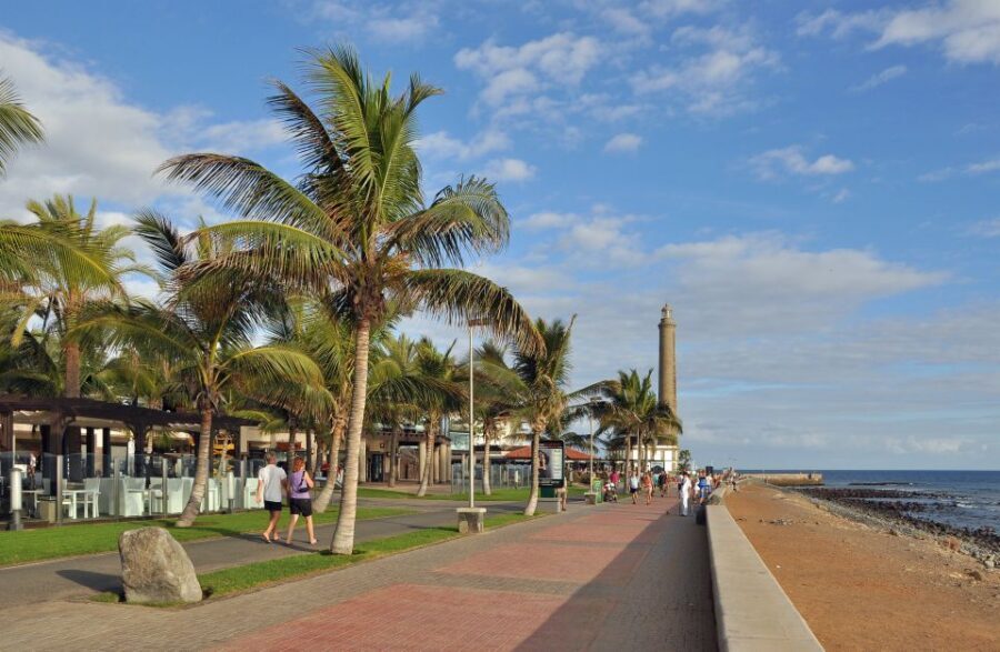 E-Bike City Tour with Camel Safari on Maspalomas Sand Dunes - Returning to the Start: Ending Back at the Shop