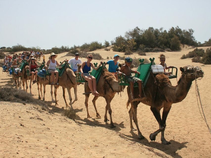 E-Bike City Tour with Camel Safari on Maspalomas Sand Dunes - What You Get for About $101: Value That’s Actually Tangible