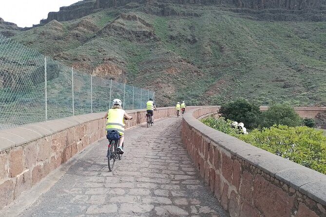 e-Bike Mountain Tour inside a Natural Park+option Tapas in a Cave - Campo Internacional: a palms-and-cacti cycle corridor on the way back