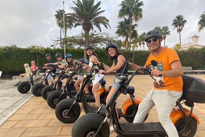 e-Scooter City Tour + Camel Ride inside Maspalomas Dunes - Stop 3: La Charca bird lagoon (where the tour turns quiet)
