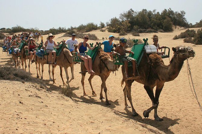 e-Scooter City Tour + Camel Ride inside Maspalomas Dunes - Stop 5: Playa del Inglés panoramic views (finish with sea air)