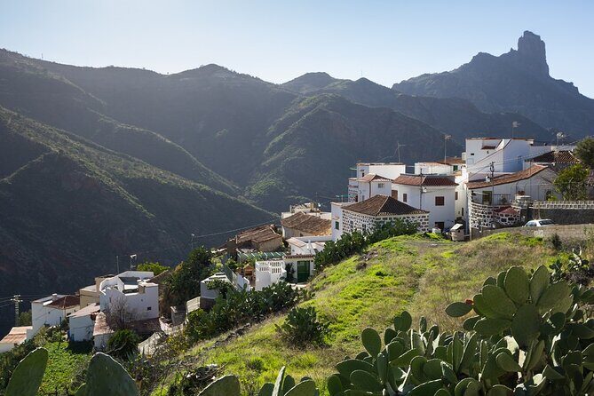Firgas, Tejeda, Guayadeque - VIP Tour Gran Canaria - Guayadeque’s barranco and cave houses: where the tour starts with character