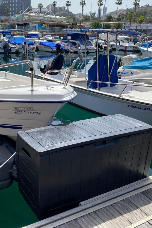 From las Palmas : Day sailing experience along the coast - Swim and Snorkel Stops: Boat-Only Water Minutes
