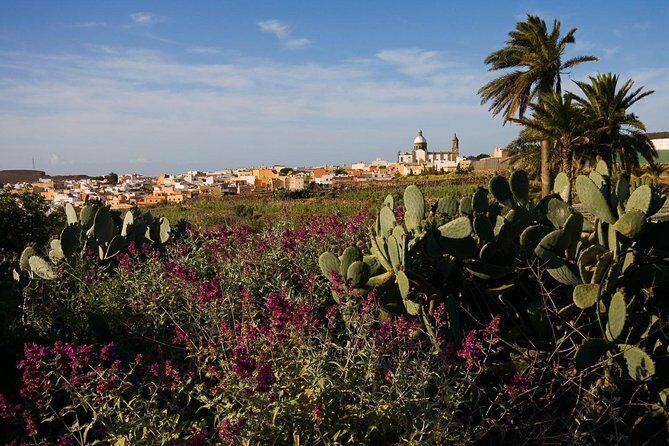 Full-Day Gran Canaria Island Tour - Cumbres - Accessibility, comfort, and how “short stops” will feel