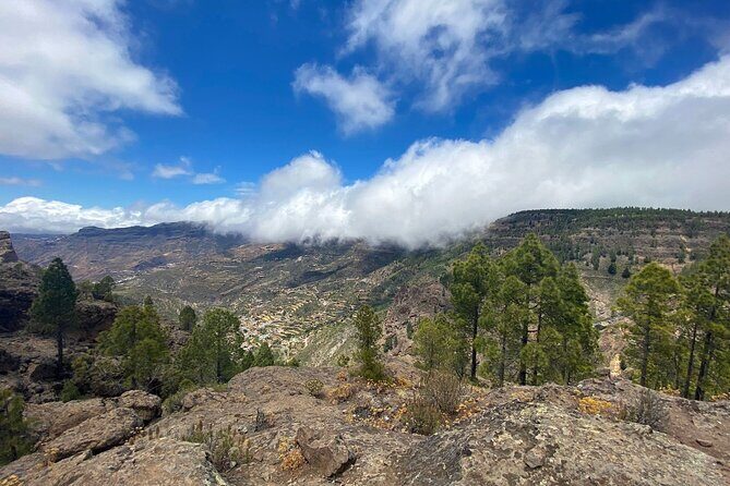 Full-Day Gran Canaria Tour with Teror, Tejeda and Lunch in Fataga - Fataga lunch at a family-owned restaurant: more than just a stop