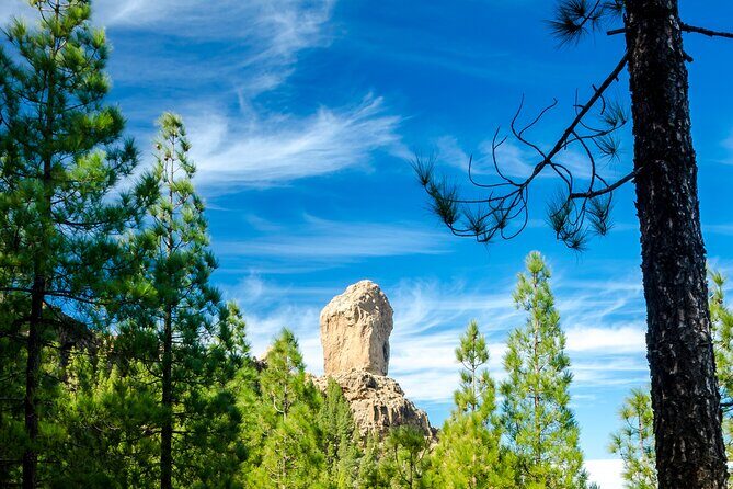 Full-Day Gran Canaria Tour with Teror, Tejeda and Lunch in Fataga - Finca Canarias Aloe Vera in Fataga: short lesson, real-life use