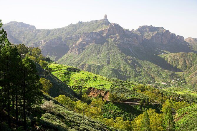 Full-Day Gran Canaria Tour with Teror, Tejeda and Lunch in Fataga - Price and value: why $98.40 can make sense here