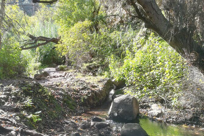 Full day Hiking and Waterfalls Experience - Quick hits before you lace up