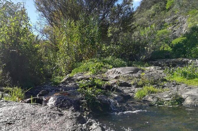 Full day Hiking and Waterfalls Experience - What the guide adds: flora, fauna, and safety that doesn’t feel annoying