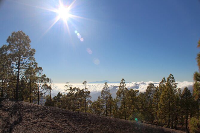 Full day Hiking Gran Canaria Peaks of Gran Canaria - A peak hike that actually feels like Gran Canaria, not a checklist